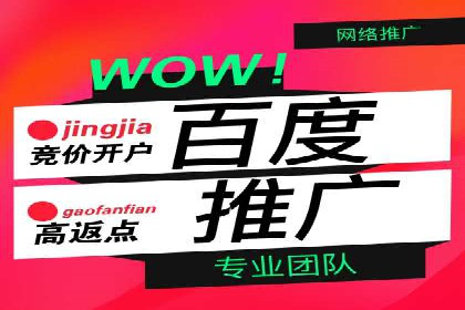 深度解析：百度竞价广告的投放效果与ROI